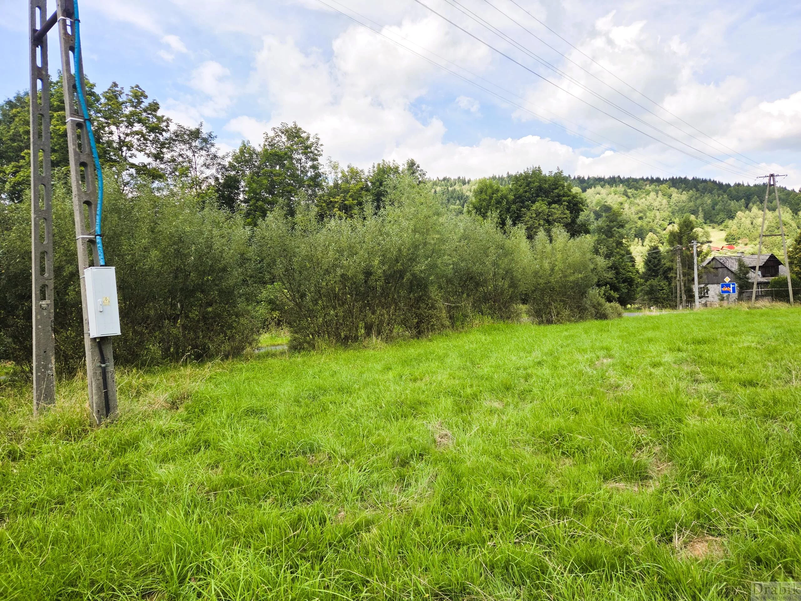 2655 - zdjęcie nr 3