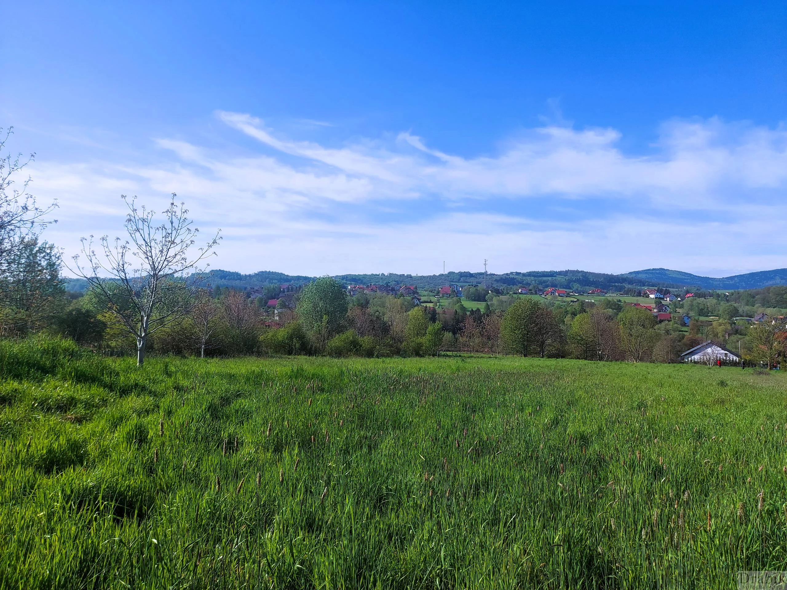 Działka 1 287,00 m², oferta nr , 2535, Mucharz