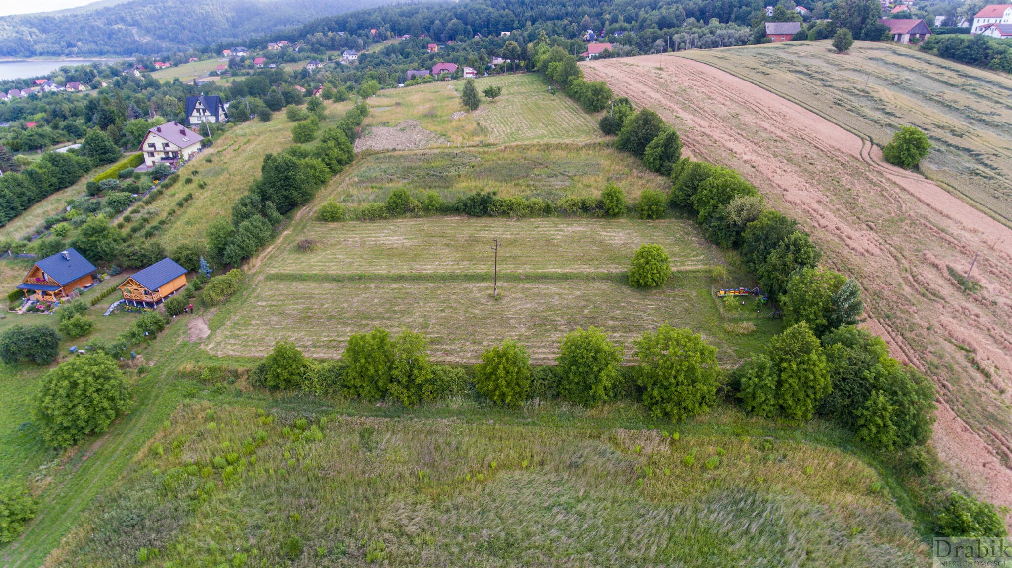 2622 - zdjęcie nr 1