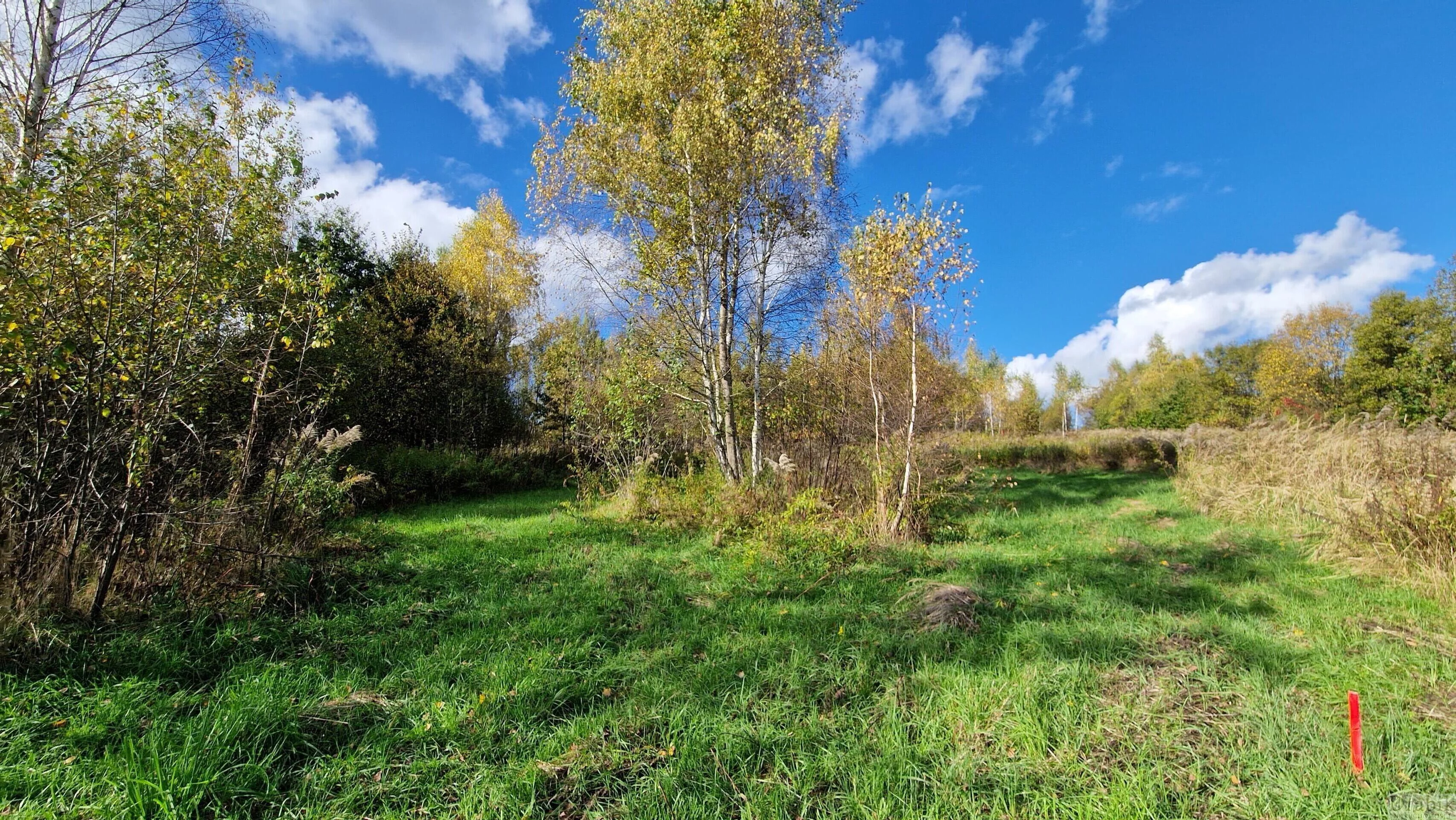 Działka 1 529,00 m², oferta nr , 2553, Skawce