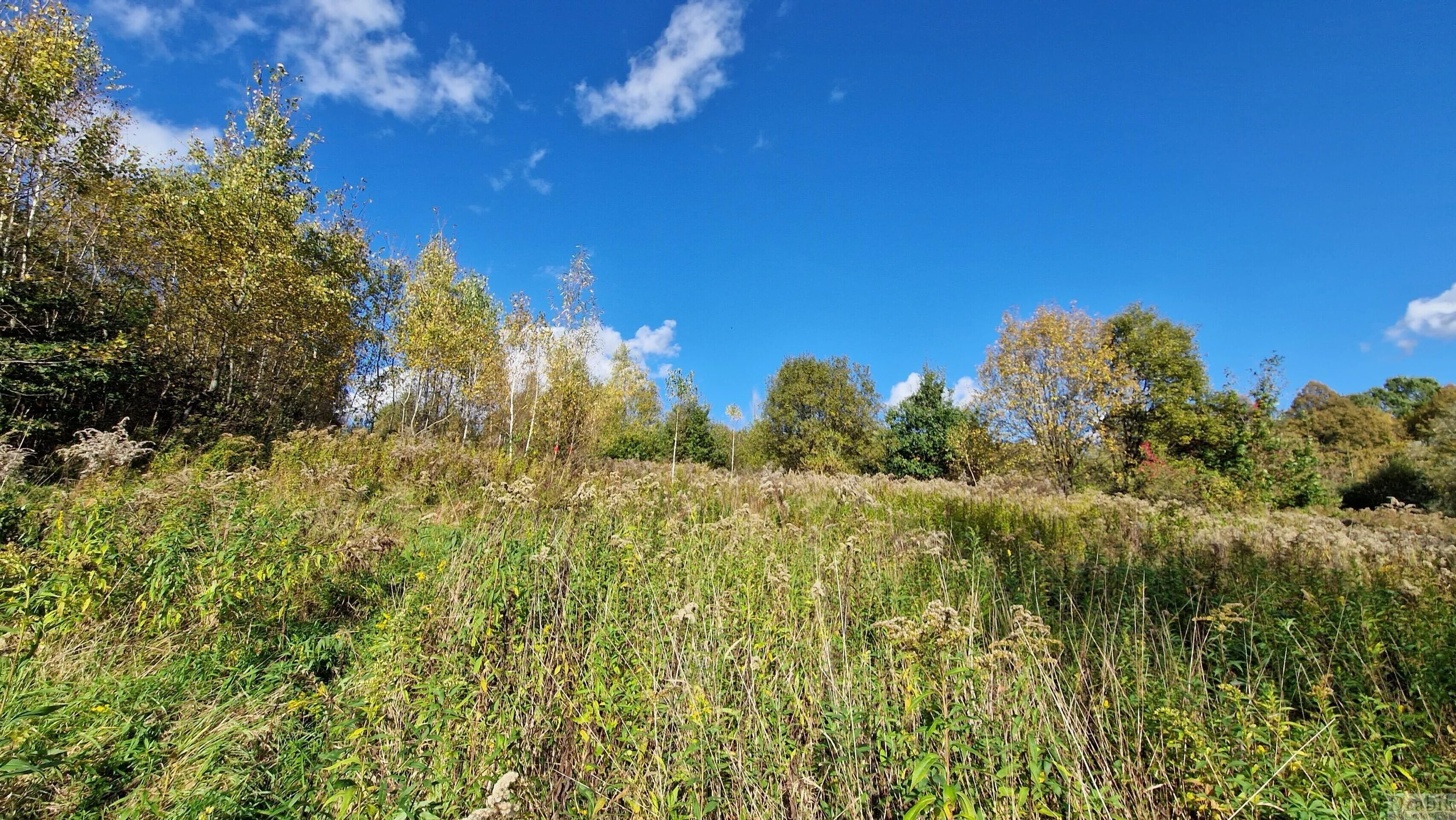 Działka 1 529,00 m², oferta nr , 2553, Skawce
