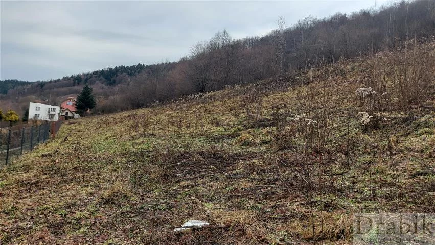 Działka 3 012,00 m², oferta nr , 2487, Sucha Beskidzka
