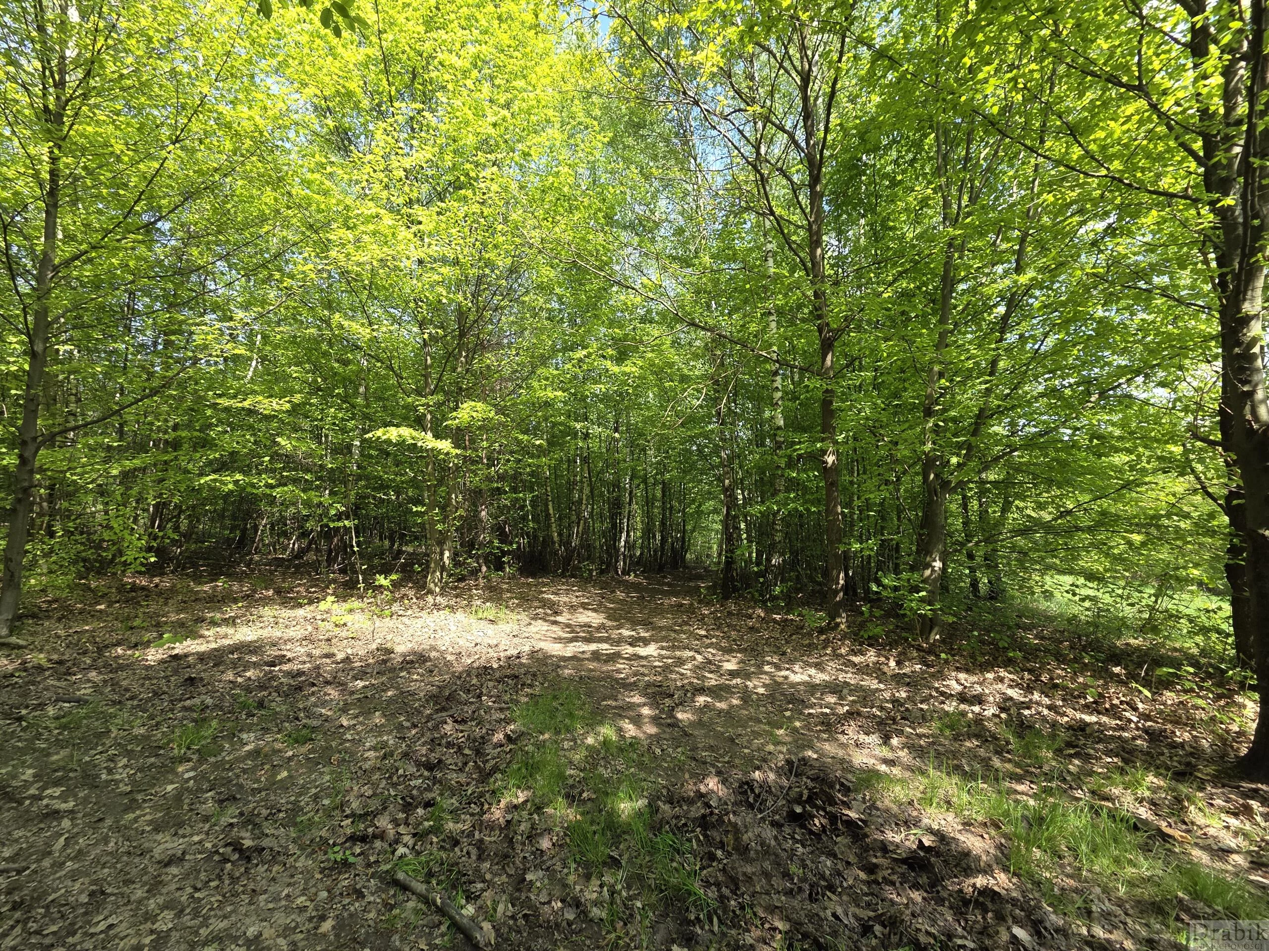 2635 - zdjęcie nr 3