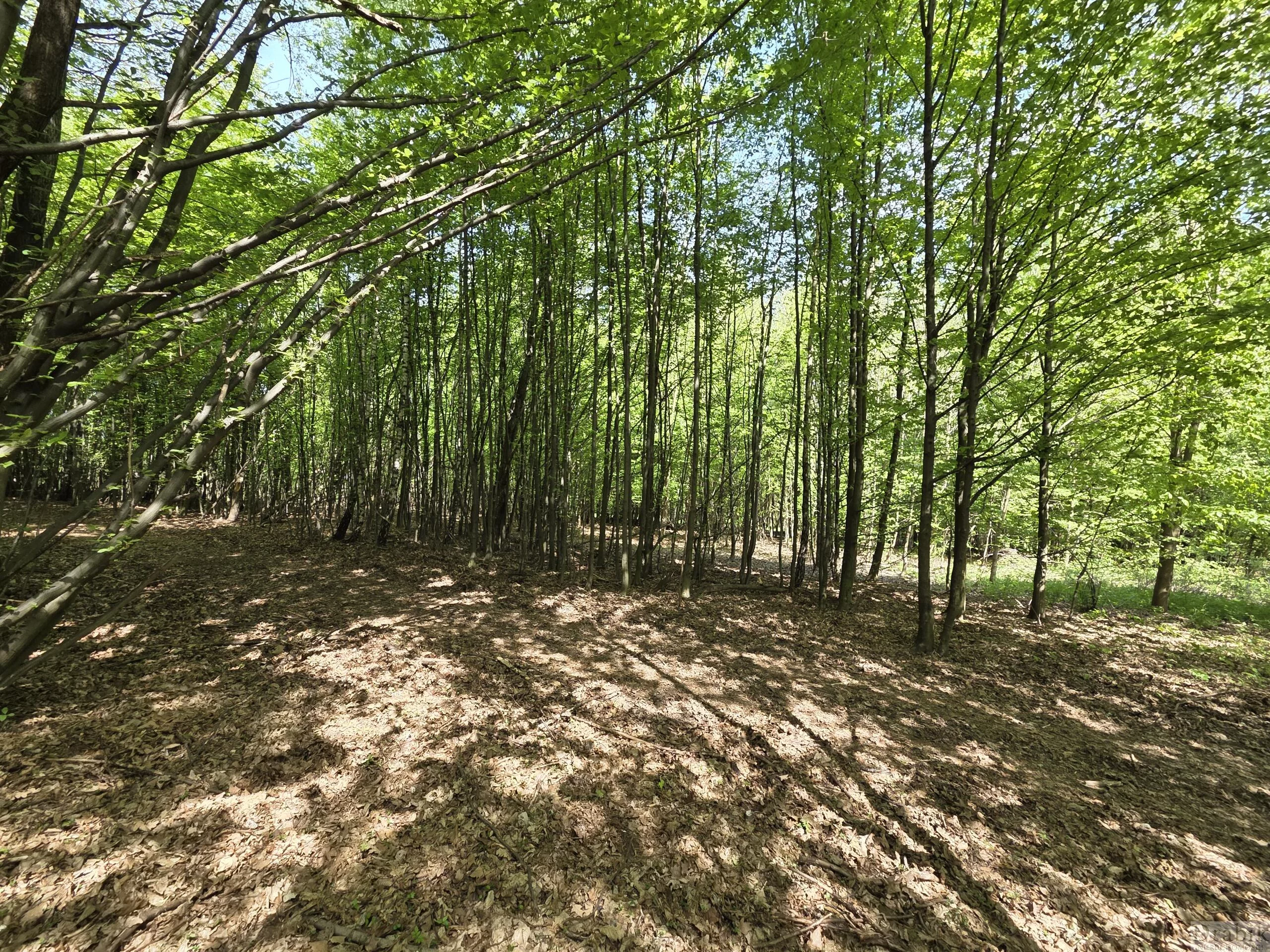 2635 - zdjęcie nr 4