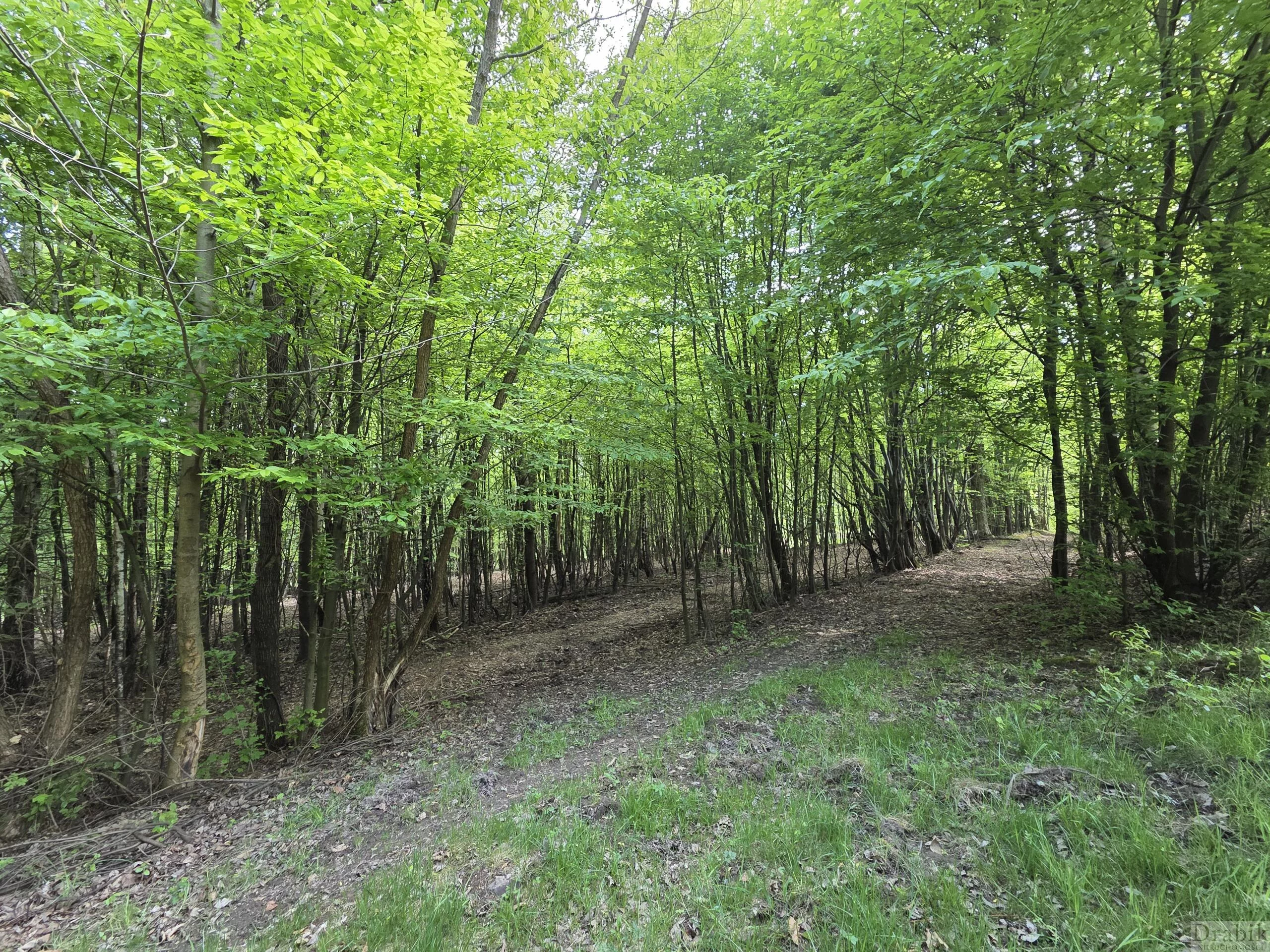 Działka 5 511,00 m², oferta nr , 2635, Tarnawa Dolna, Tarnawa Dolna