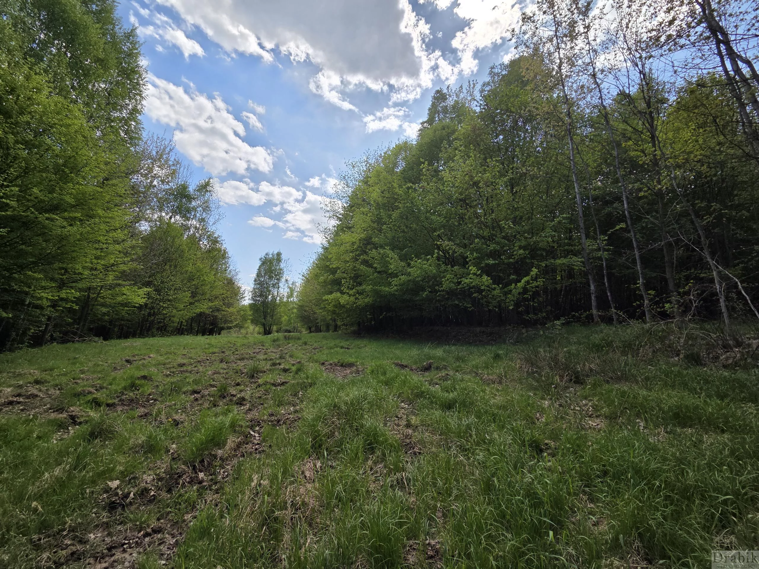 Działka 5 511,00 m², oferta nr , 2635, Tarnawa Dolna, Tarnawa Dolna