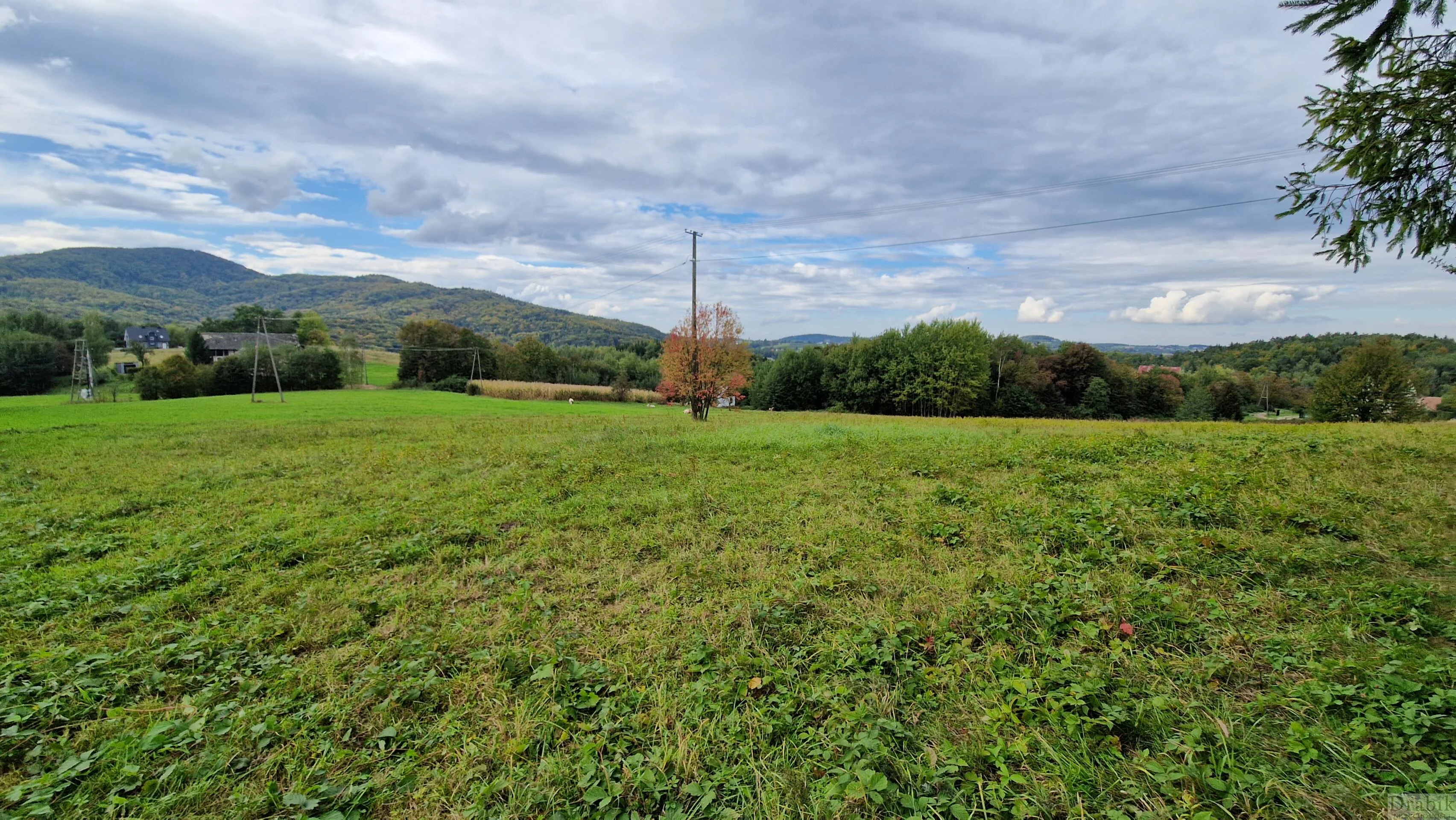 Działka 4 000,00 m², oferta nr , 2600, Zegartowice