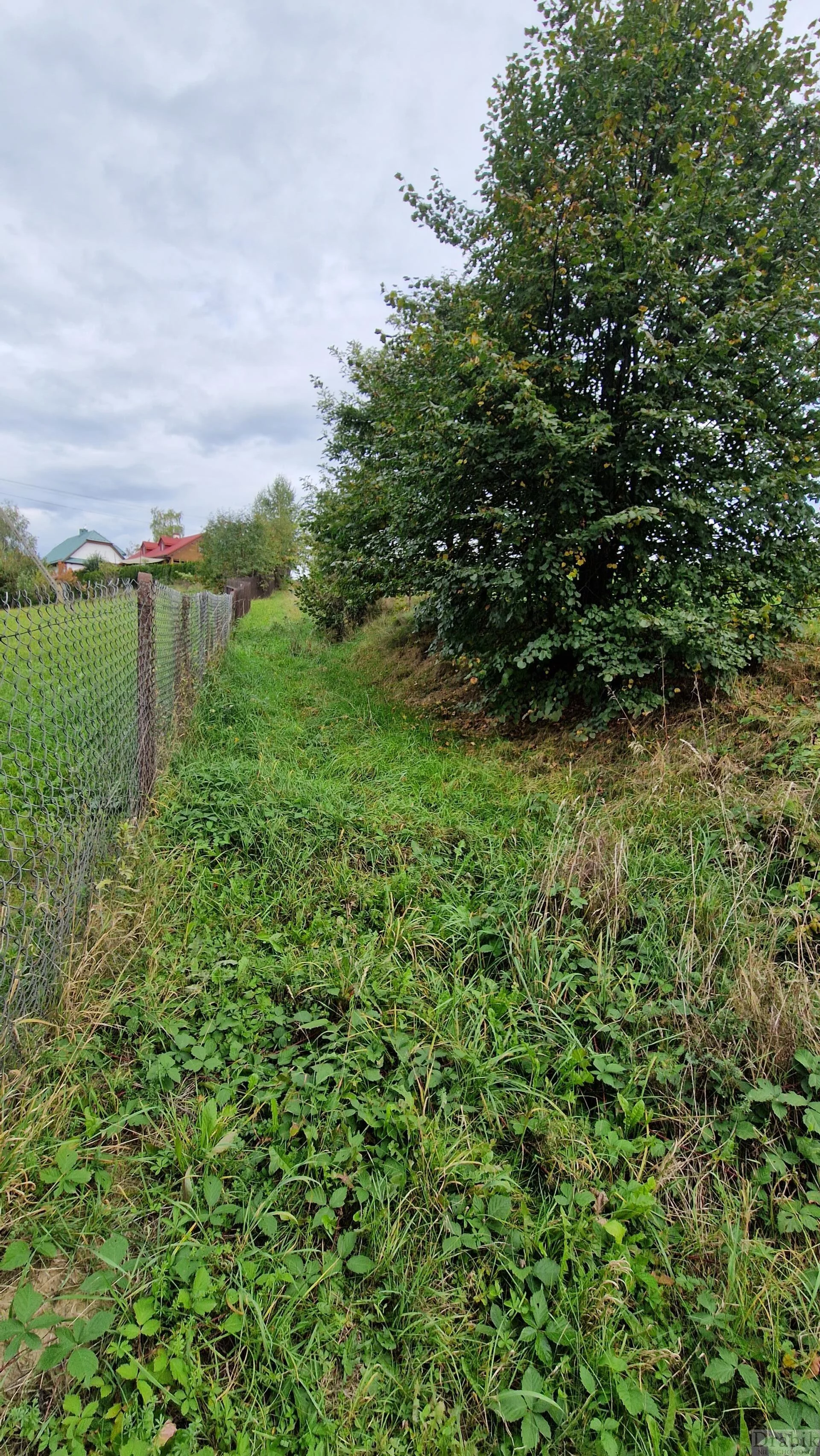 Działka 4 000,00 m², oferta nr , 2600, Zegartowice