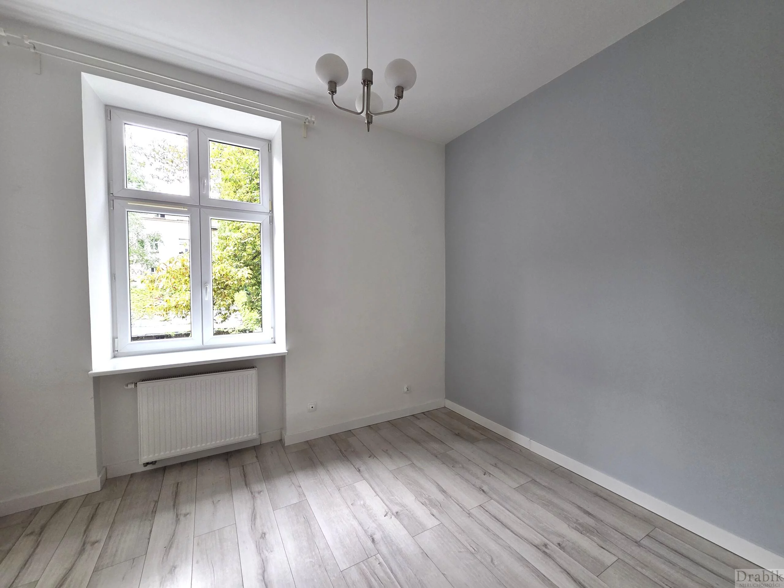 2647 - zdjęcie nr 4