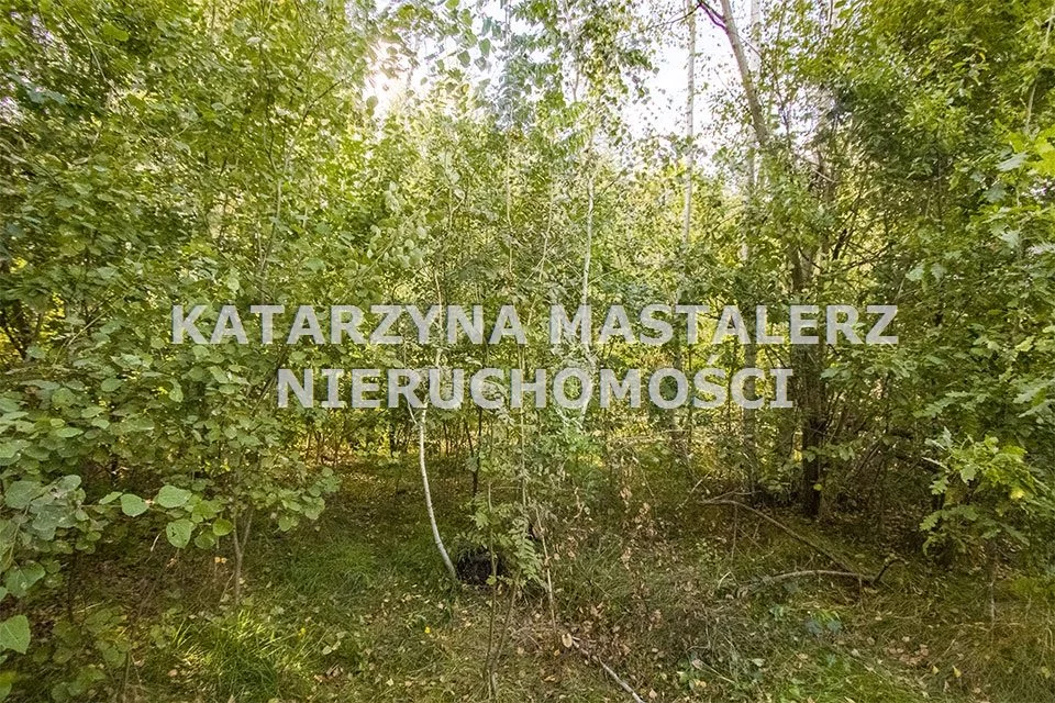 Działka 4 000,00 m², Radziejowice, Sprzedaż