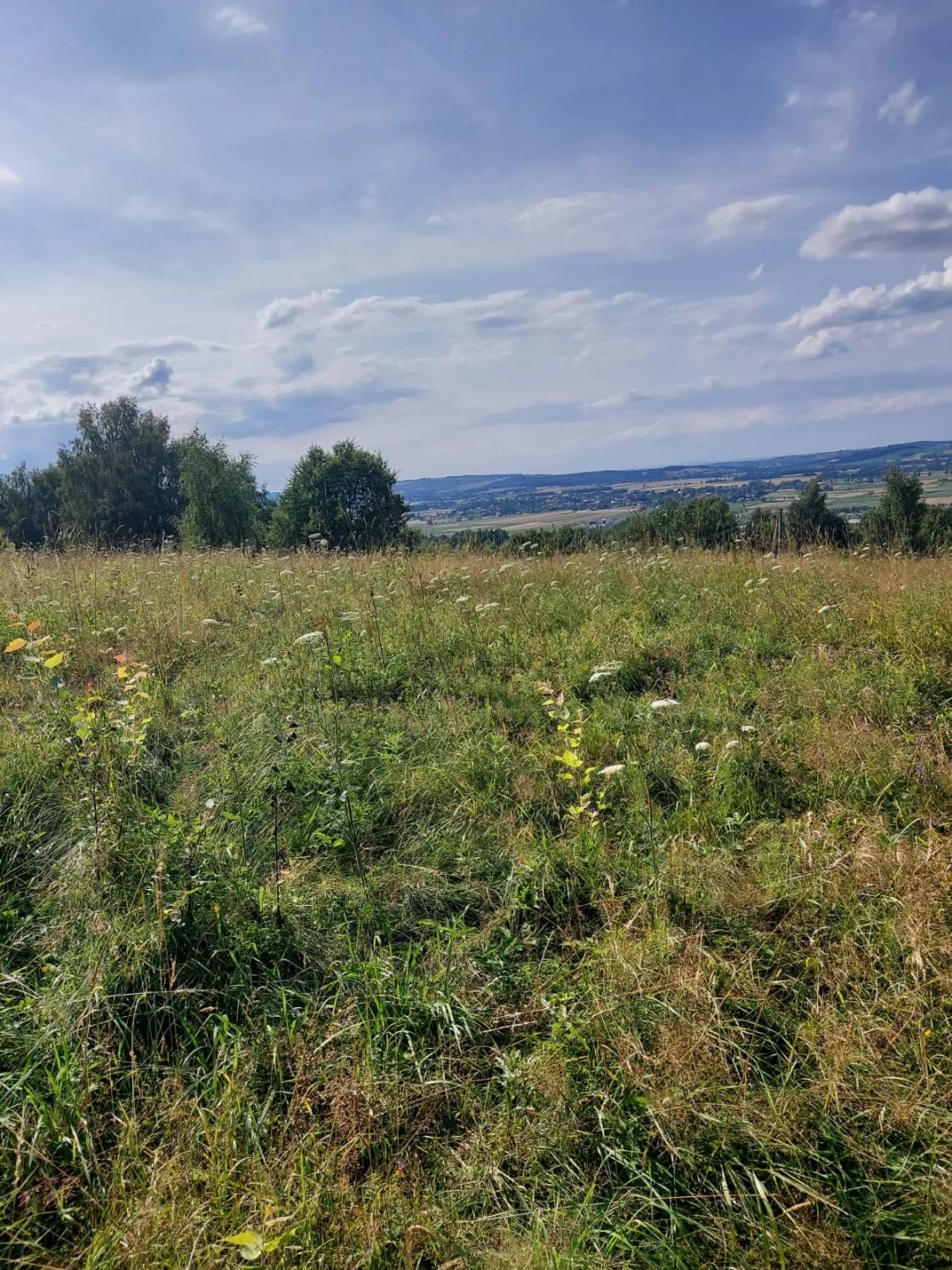 ABN-GS-24718 - zdjęcie nr 4