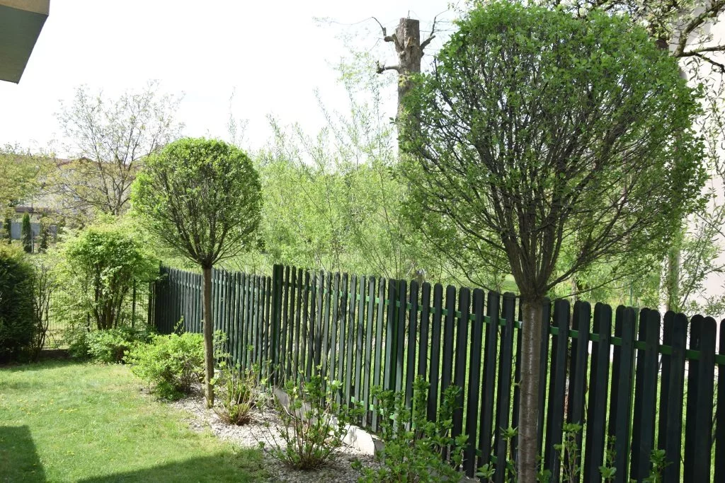 ABN-MW-24735 - zdjęcie nr 1