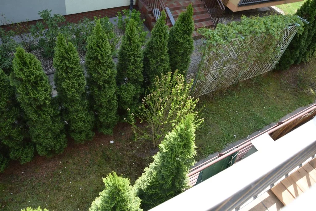 1 pokój, mieszkanie 49,00 m², piętro 1, oferta nr , ABN-MW-24735, Kraków, Dębniki, Ruczaj, Torfowa