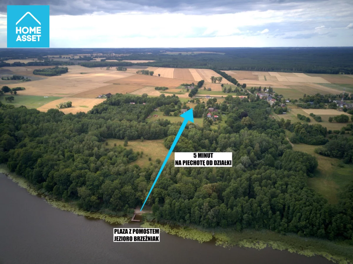 HS497646 - zdjęcie nr 3