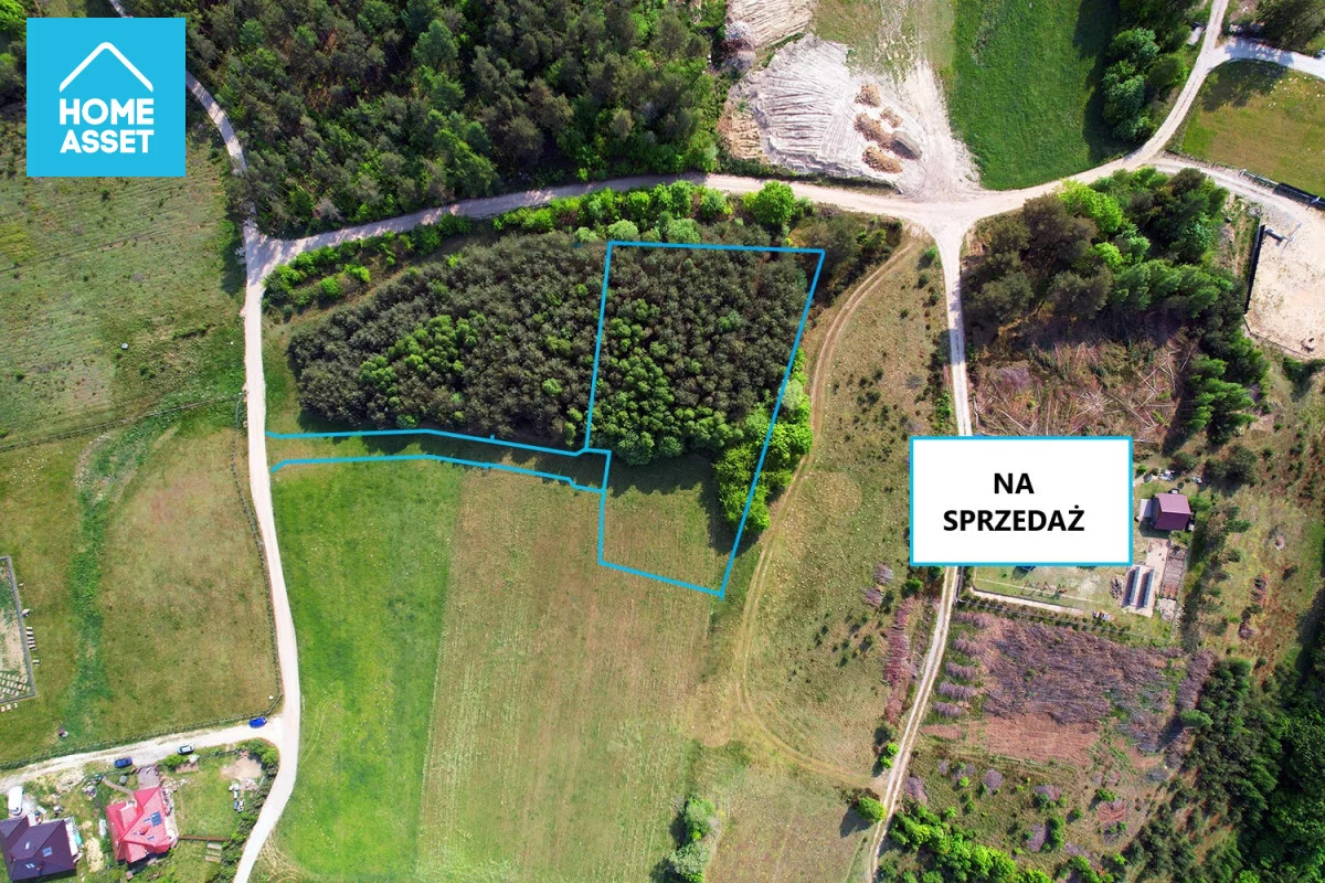 HS401478 - zdjęcie nr 2