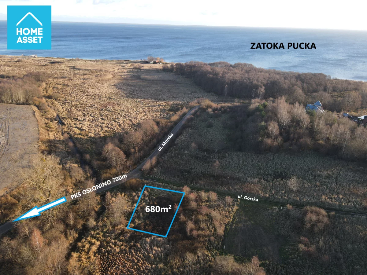 HS426963 - zdjęcie nr 4