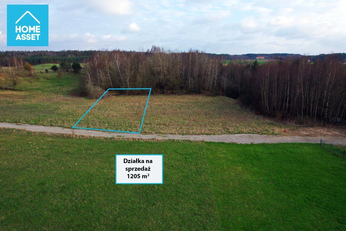 HS145648 - zdjęcie nr 2