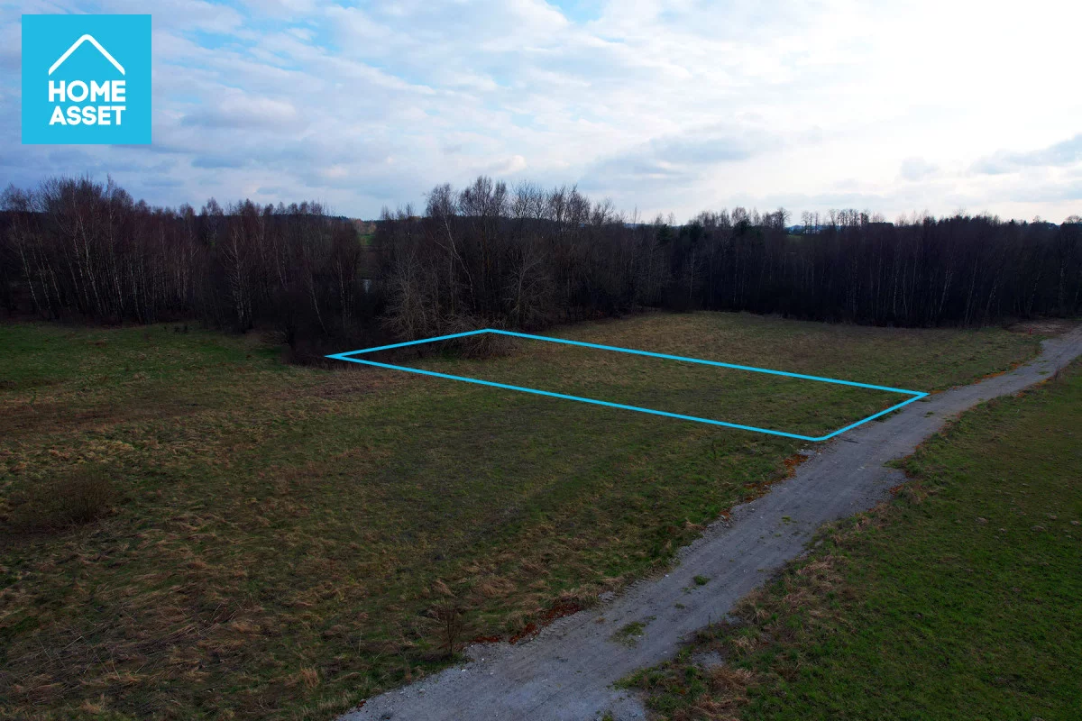 HS145648 - zdjęcie nr 3