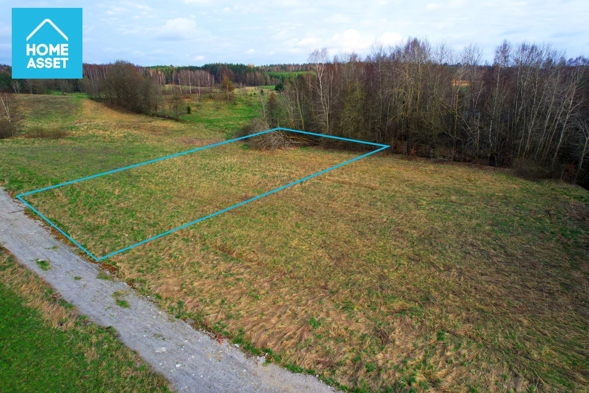 HS145648 - zdjęcie nr 4