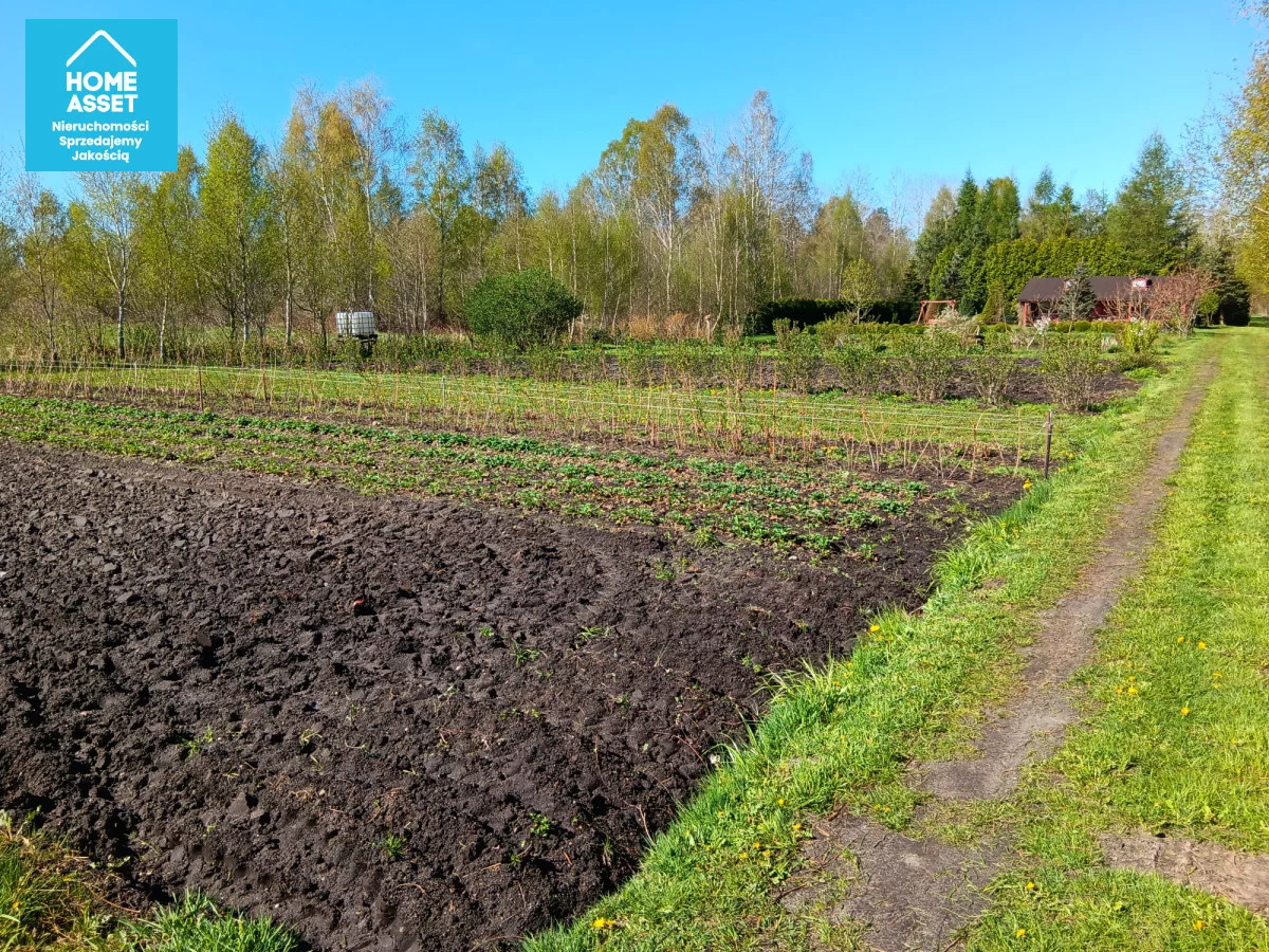 Działka 18 200,00 m², oferta nr , HS223119, Zelewo, Polna