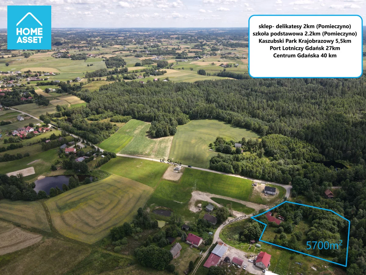 HS772946 - zdjęcie nr 2