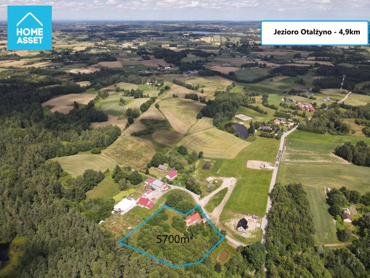 HS772946 - zdjęcie nr 3
