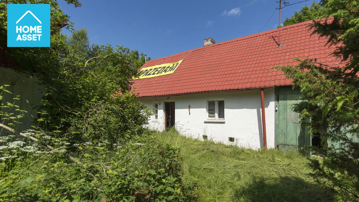 HS772946 - zdjęcie nr 4