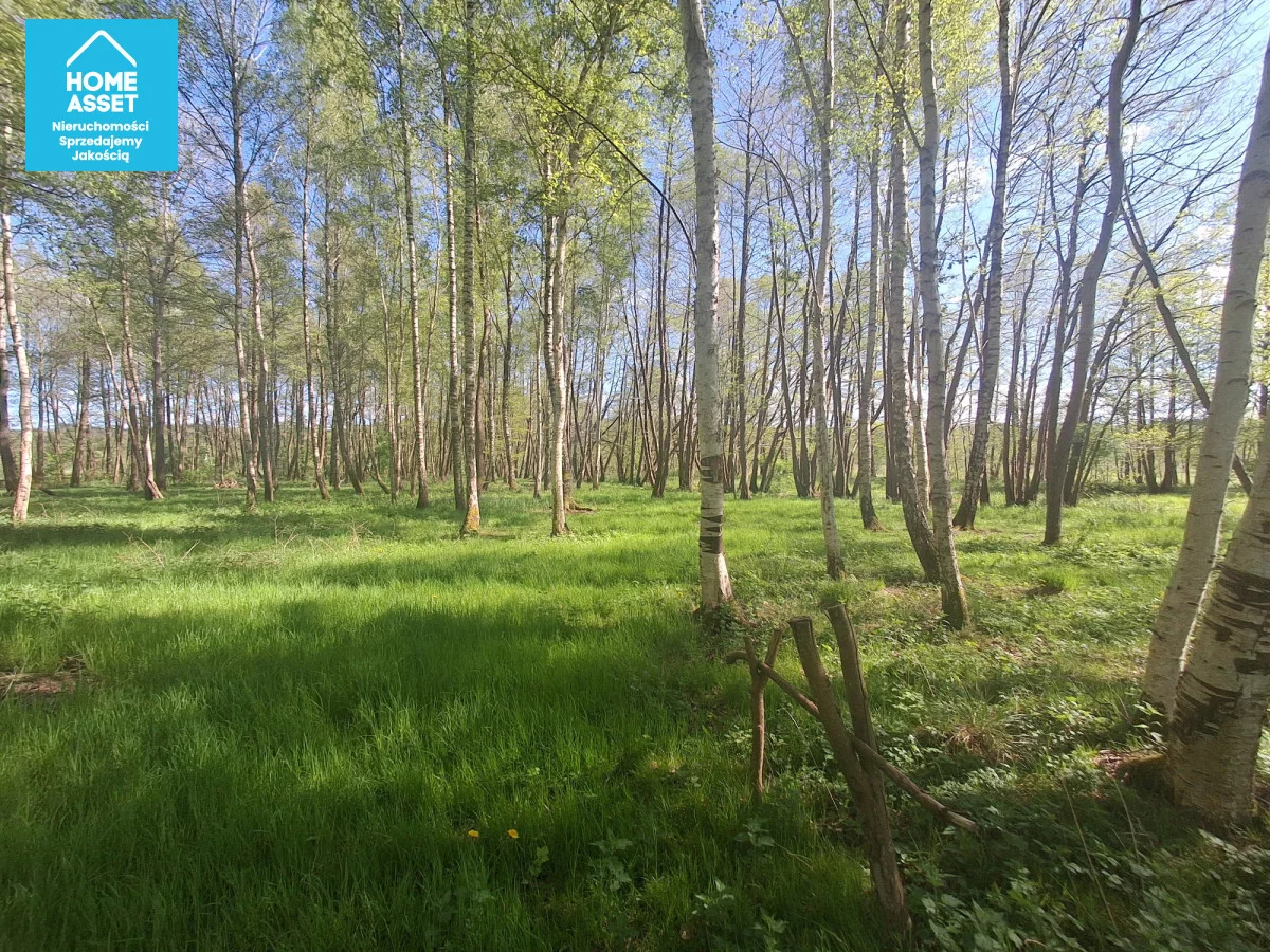 Działka 31 400,00 m², oferta nr , HS362622, Lubowidz, Spacerowa