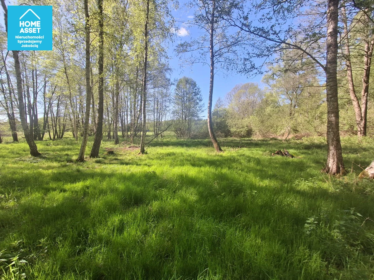 Działka 31 400,00 m², oferta nr , HS362622, Lubowidz, Spacerowa