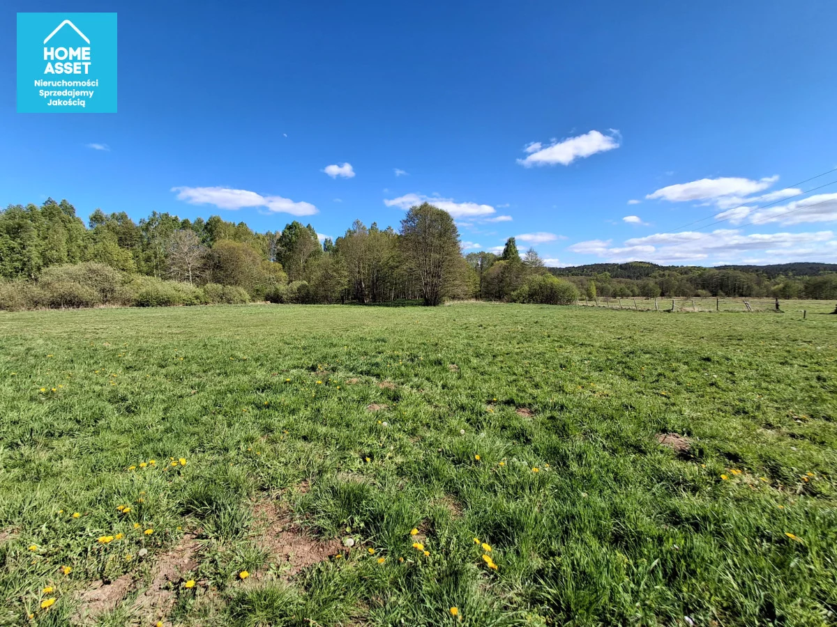 Działka 31 400,00 m², oferta nr , HS362622, Lubowidz, Spacerowa
