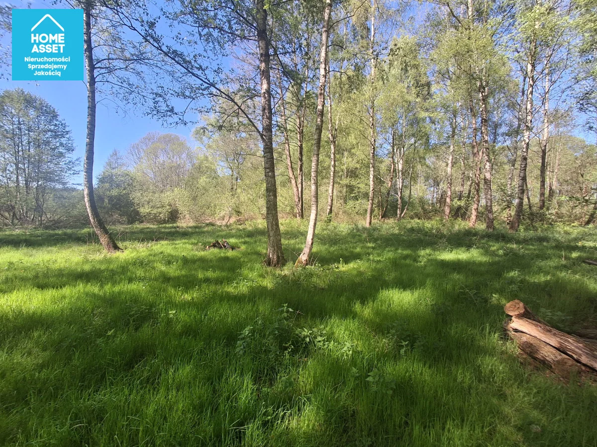 Działka 31 400,00 m², oferta nr , HS999436, Lubowidz, Spacerowa