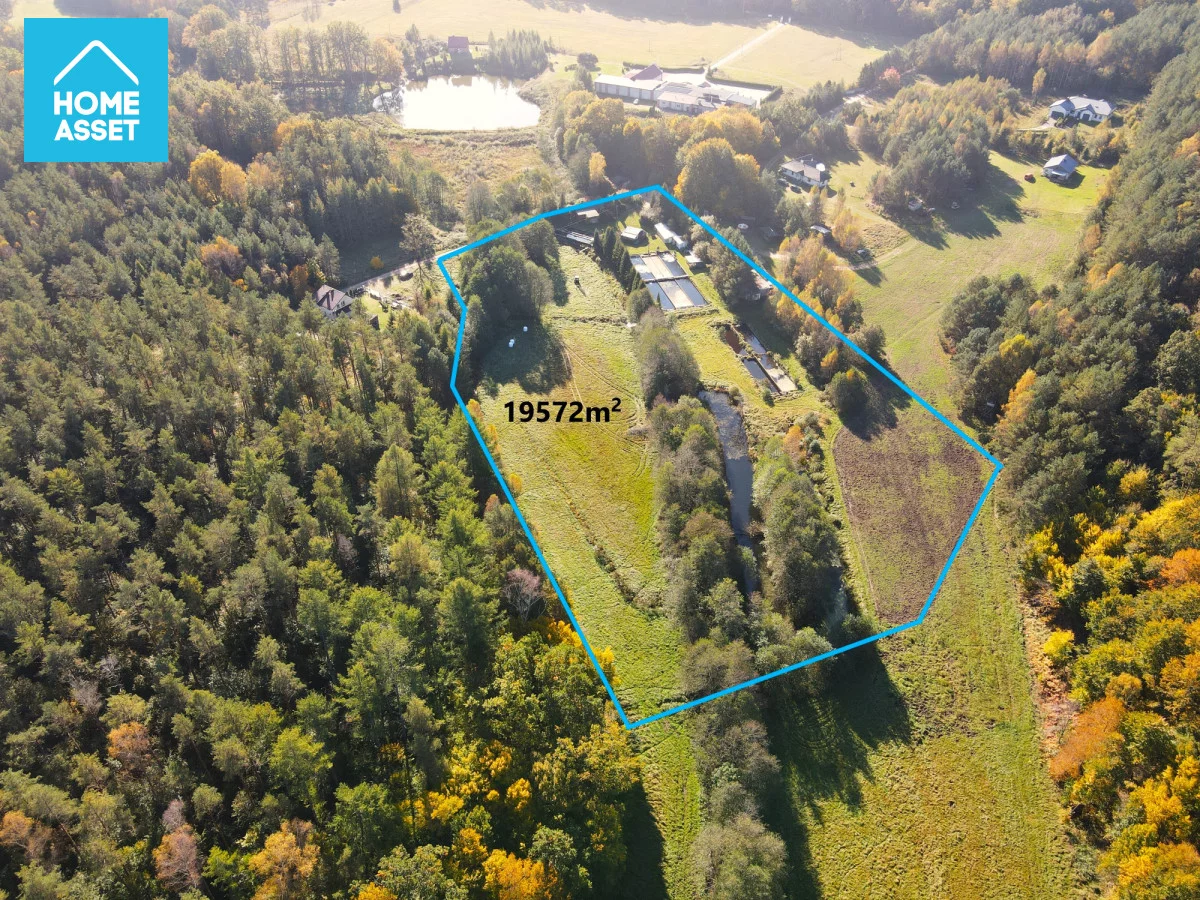 HS116024 - zdjęcie nr 4