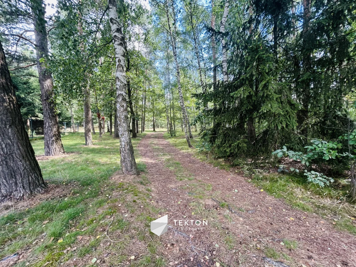 Dom 320,00 m², oferta nr , TC761228, Ostróda