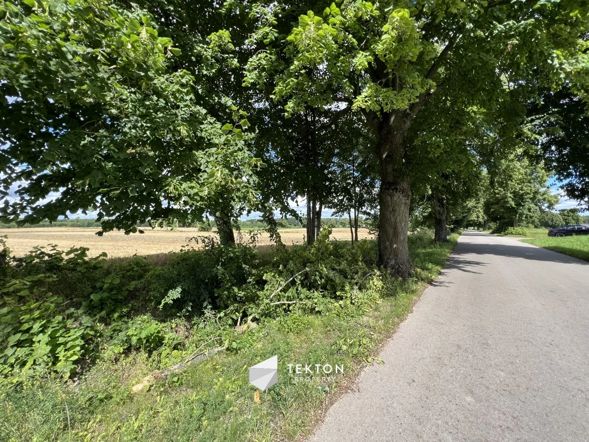 Działka 10 100,00 m², oferta nr , TC712574020, Harsz