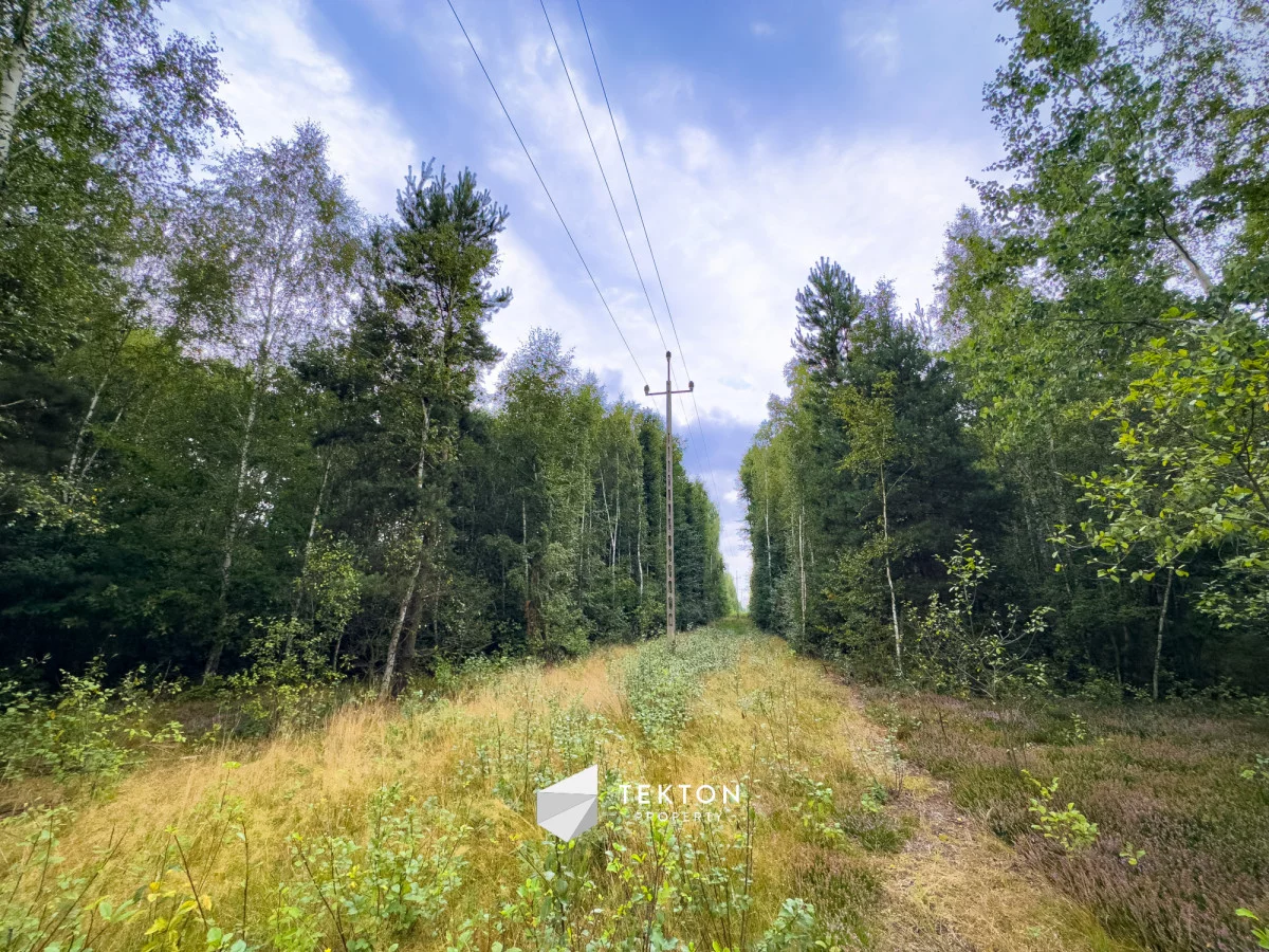 Działka 31 100,00 m², oferta nr , TC959597, Janinów, Szkocka