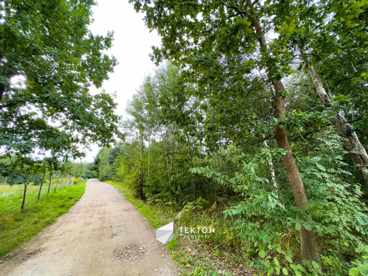Działka 31 100,00 m², oferta nr , TC959597, Janinów, Szkocka