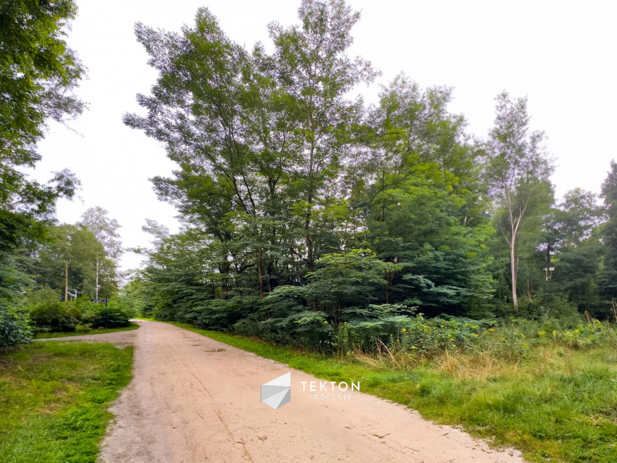 Działka 31 100,00 m², oferta nr , TC959597, Janinów, Szkocka