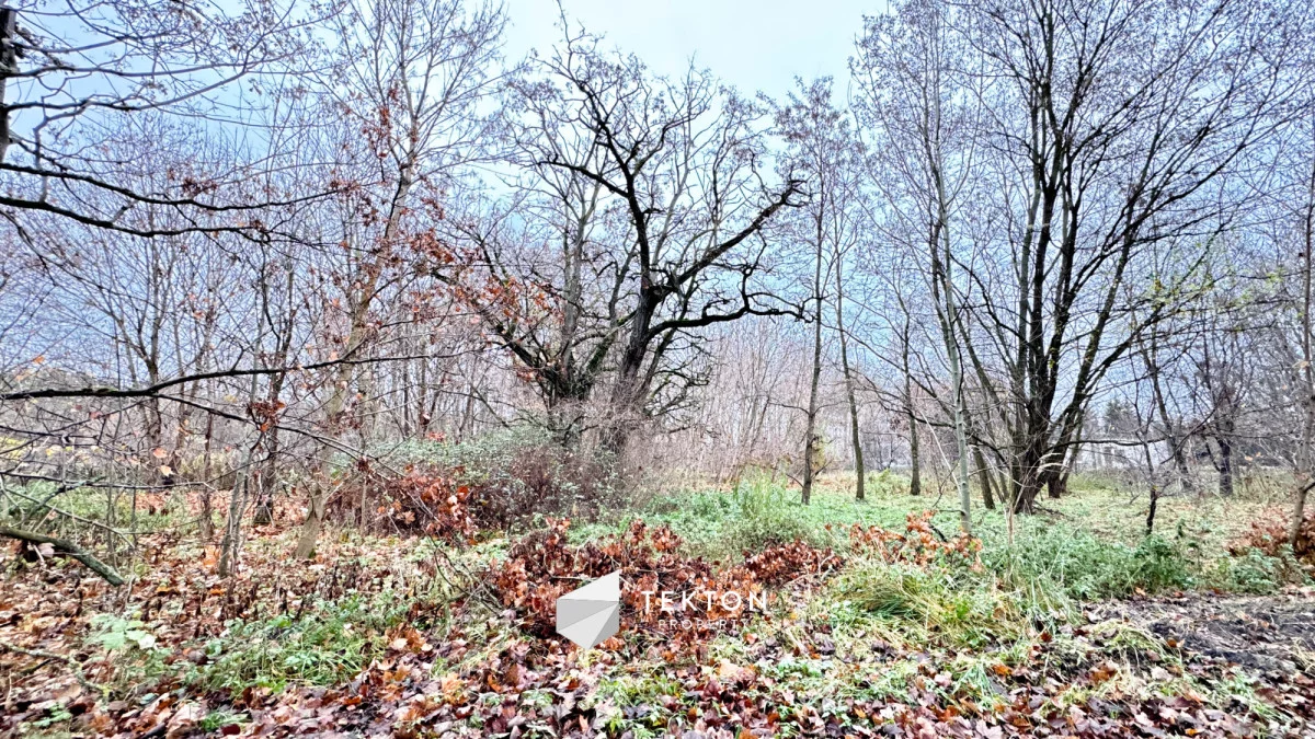 Działka 55 300,00 m², oferta nr , TC118379, Tułowice
