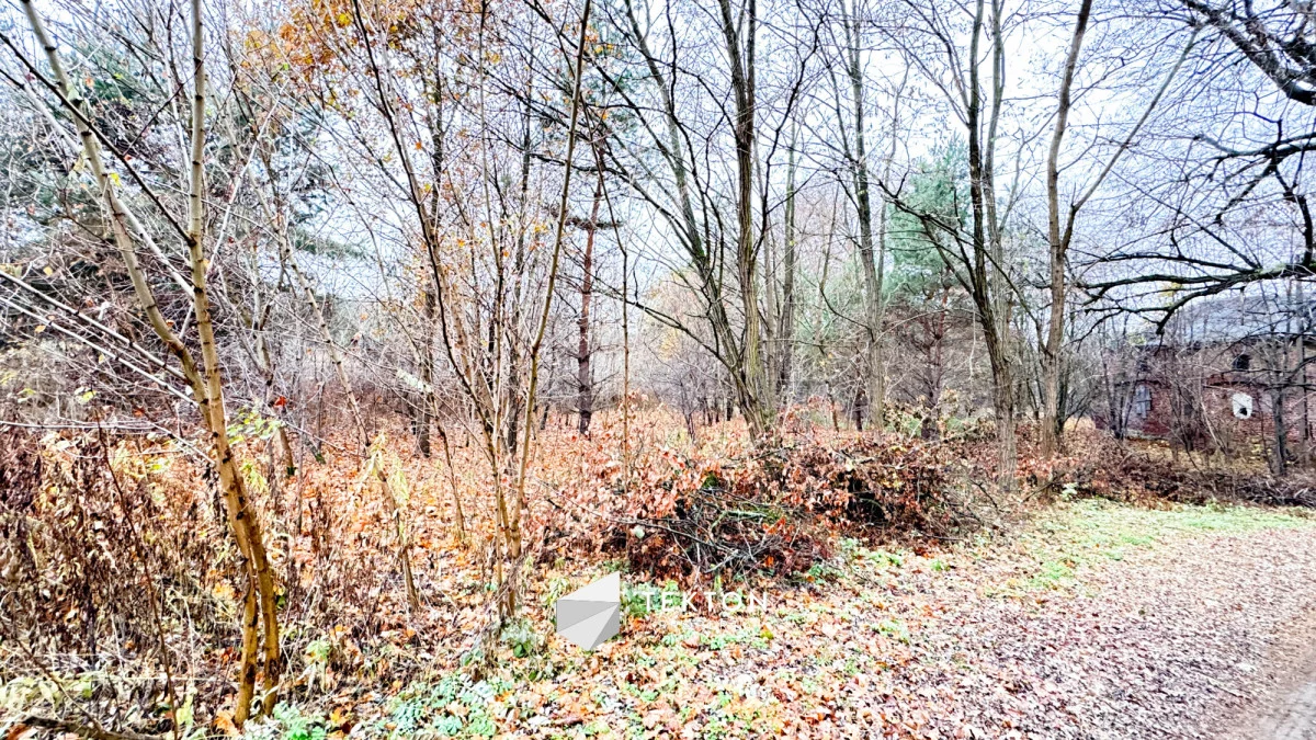 Działka 55 300,00 m², oferta nr , TC118379, Tułowice