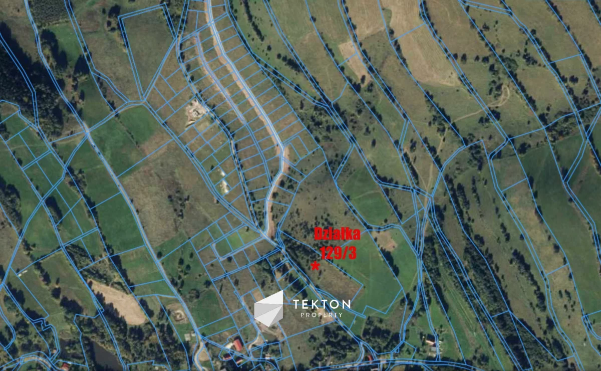 Działka 12 700,00 m², oferta nr , TC698526, Sierpnica, Zielone Wzgórze