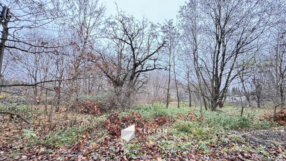 TC595664 - zdjęcie nr 3