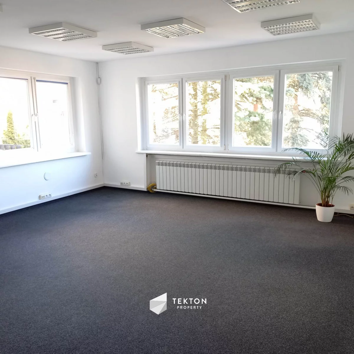 Lokal użytkowy 258,51 m², oferta nr , TC260671, Poznań, Winogrady, Winogrady, Gronowa