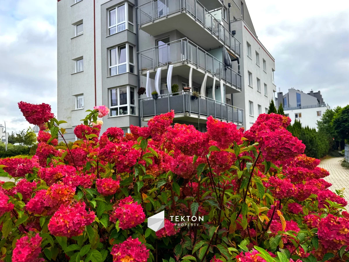4 pokoje, mieszkanie 81,91 m², piętro 1, oferta nr , TC112483, Gdynia, Chwarzno-Wiczlino, Chwarzno-Wiczlino, Stanisława Filipkowskiego