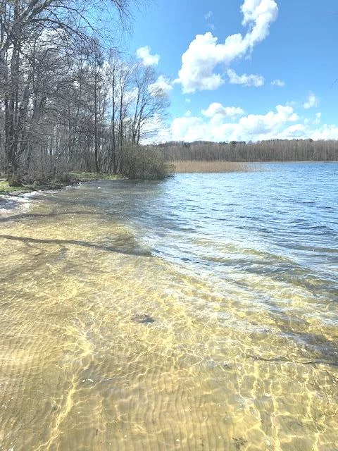 Działka 3 000,00 m², Perlino, Sprzedaż