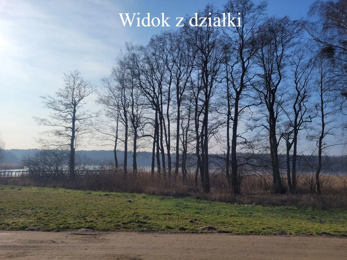 DziałkaRadęcin1 - zdjęcie nr 0