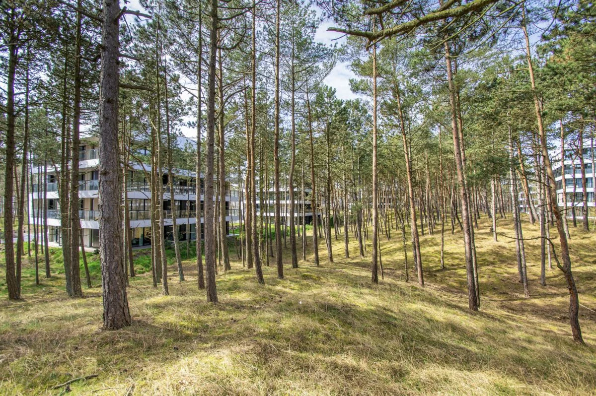2 pokoje, apartament 31,90 m², piętro 5, oferta nr , Shellter5p., Rogowo
