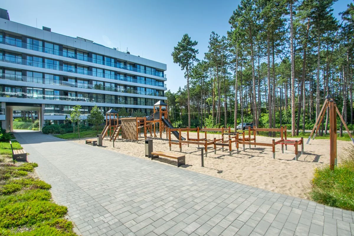 919066 - zdjęcie nr 3