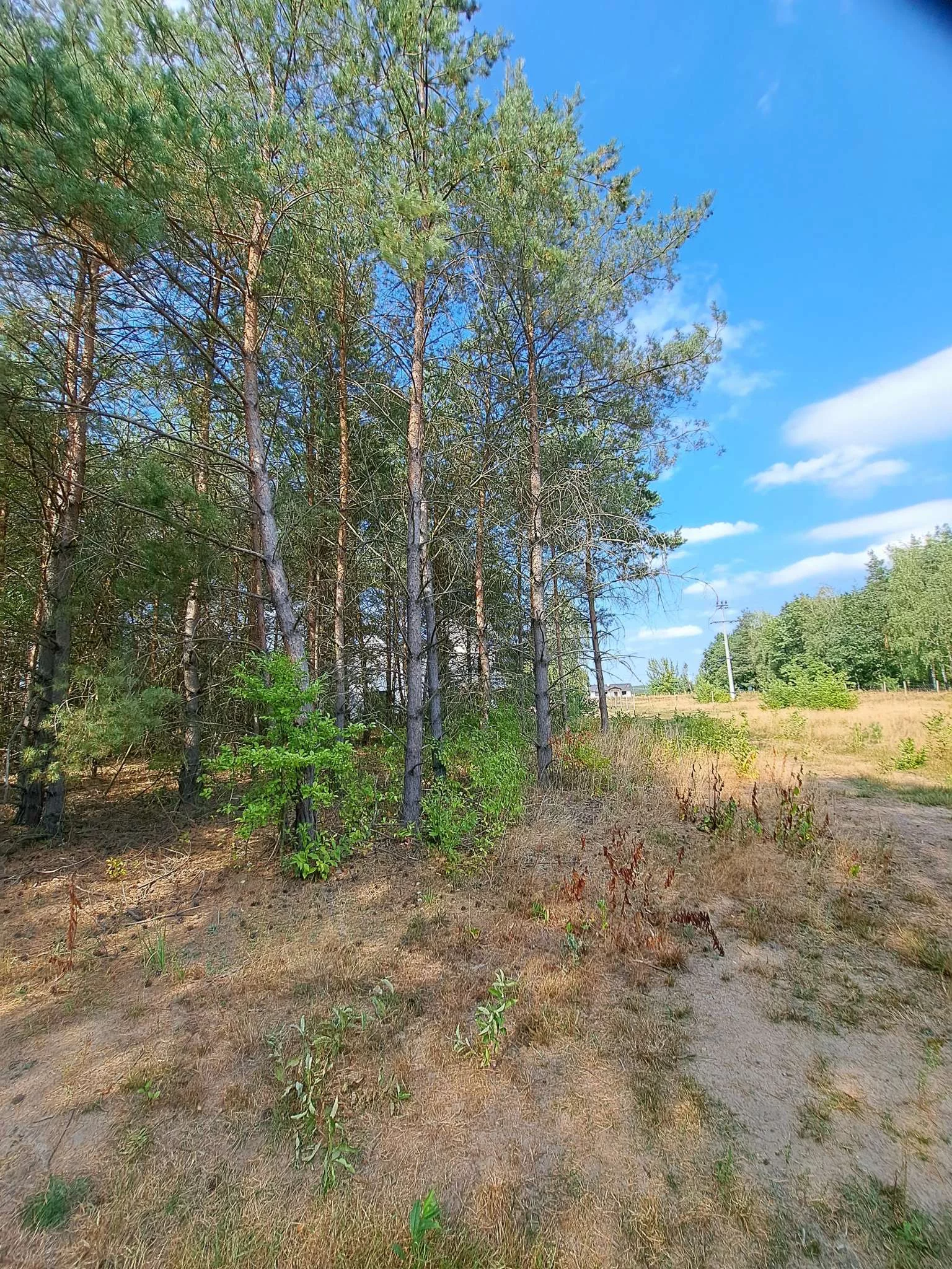 Działka 1 298,00 m², oferta nr , 28, Stęszewko, Wiejska