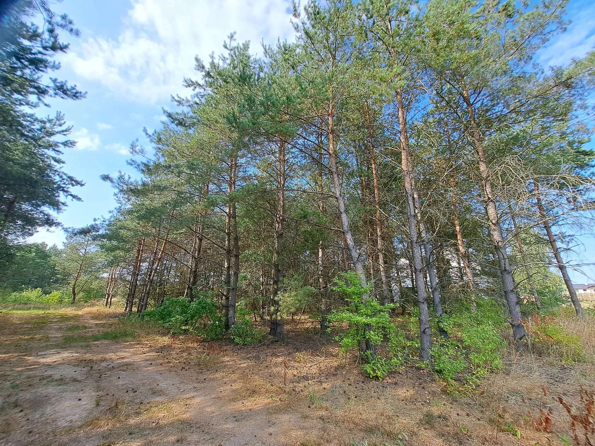 Działka 1 298,00 m², oferta nr , 28, Stęszewko, Wiejska