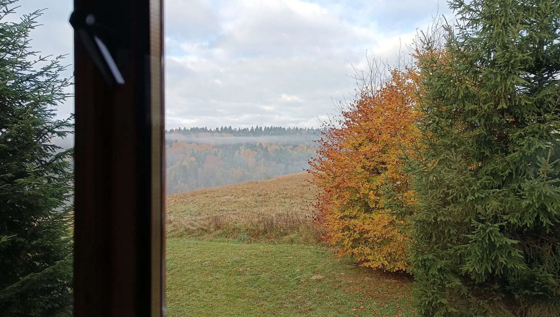 Dom 170,00 m², oferta nr , 10122279, Brzegi Dolne